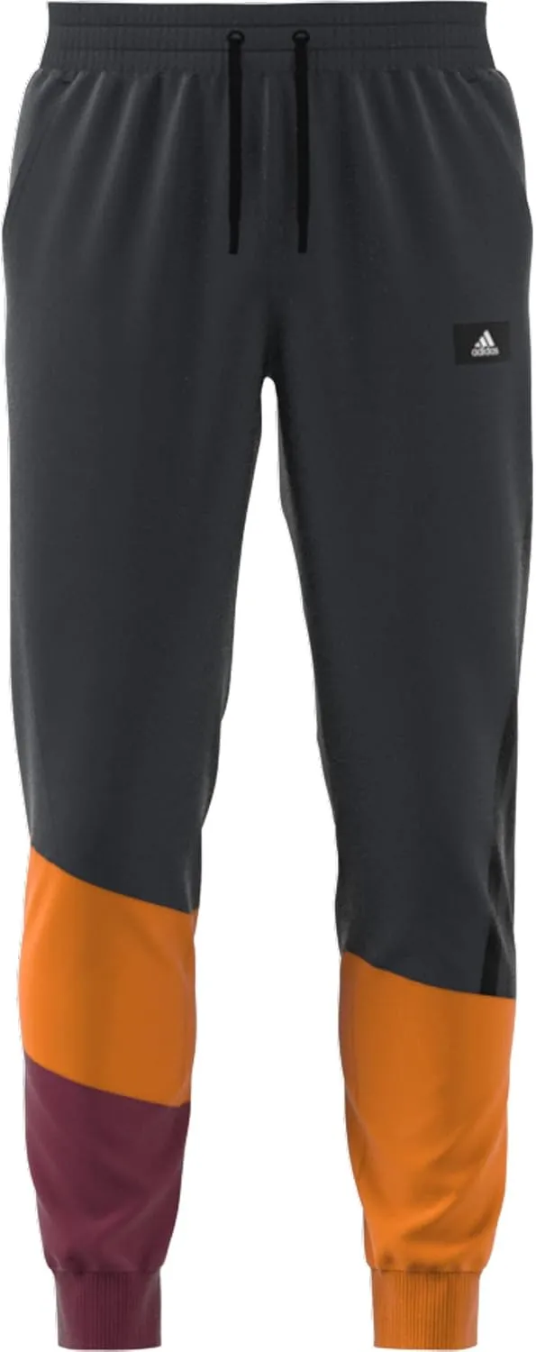 adidas Men's Sportswear Colorblock Pant